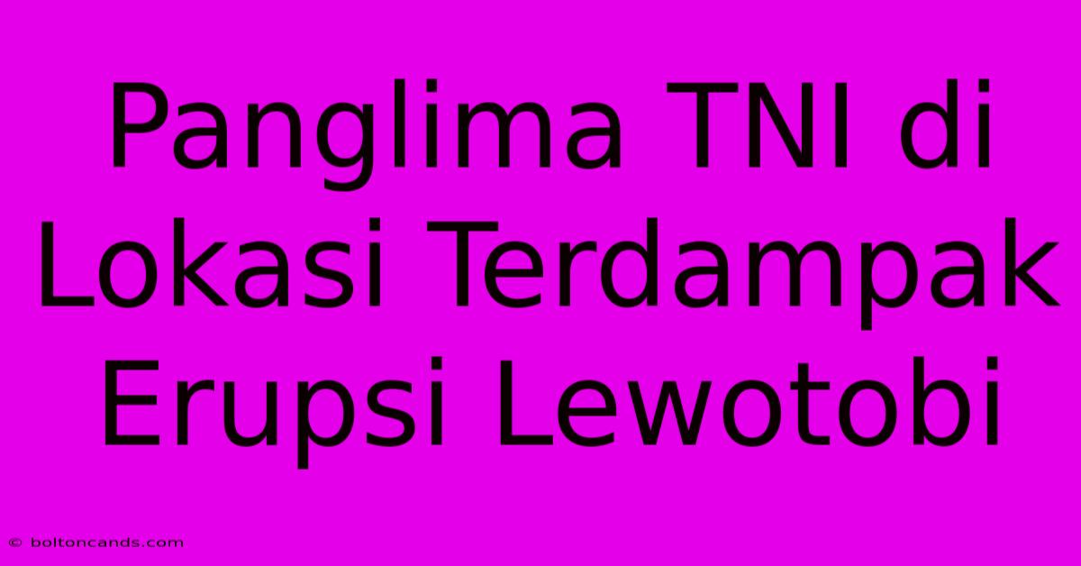 Panglima TNI Di Lokasi Terdampak Erupsi Lewotobi