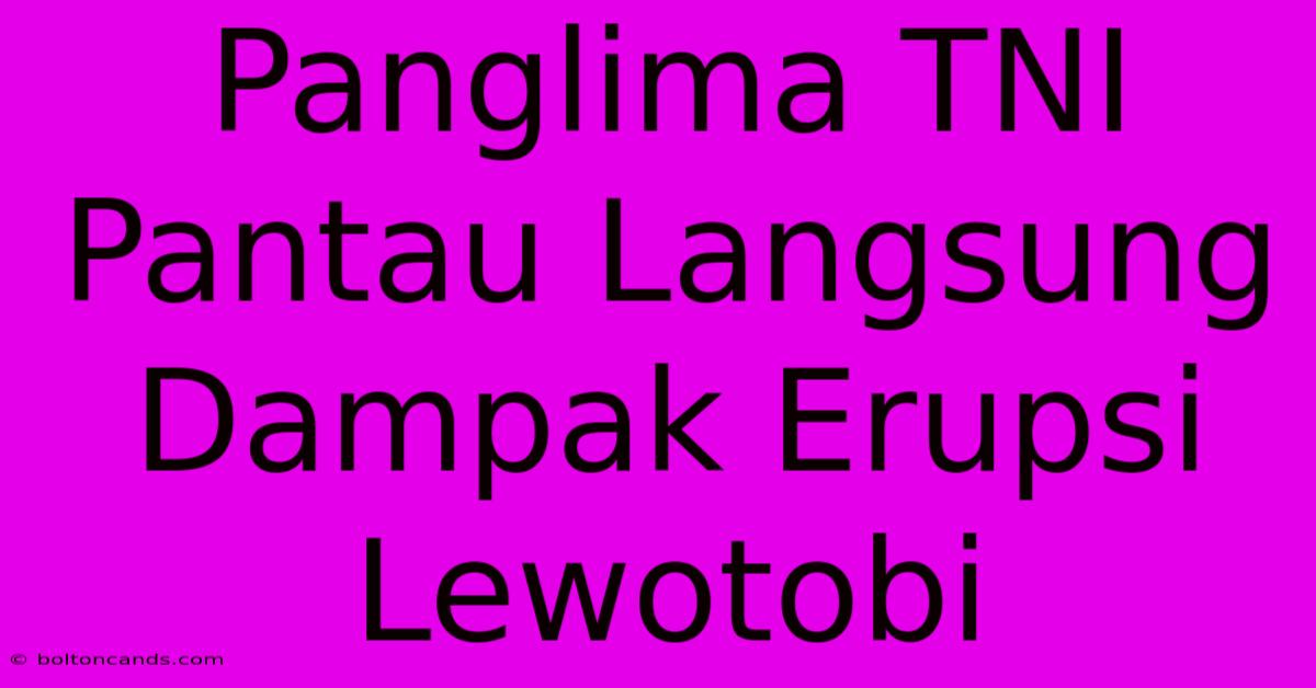 Panglima TNI Pantau Langsung Dampak Erupsi Lewotobi