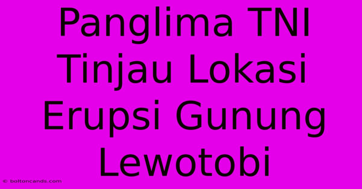 Panglima TNI Tinjau Lokasi Erupsi Gunung Lewotobi