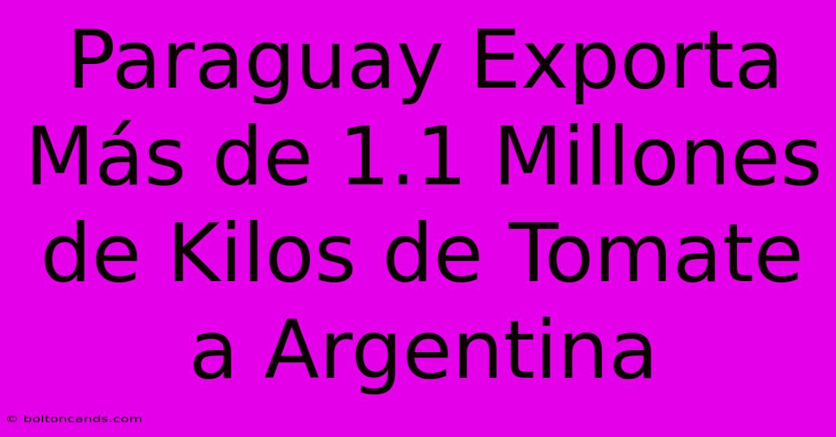 Paraguay Exporta Más De 1.1 Millones De Kilos De Tomate A Argentina