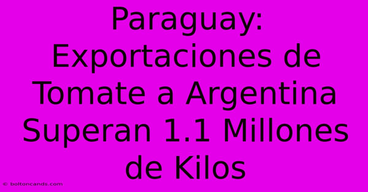 Paraguay: Exportaciones De Tomate A Argentina Superan 1.1 Millones De Kilos