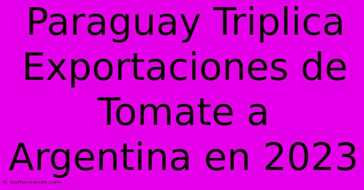 Paraguay Triplica Exportaciones De Tomate A Argentina En 2023