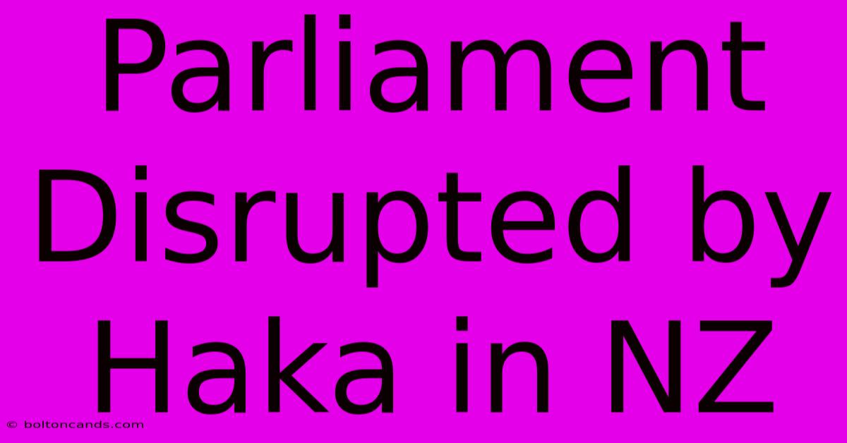 Parliament Disrupted By Haka In NZ