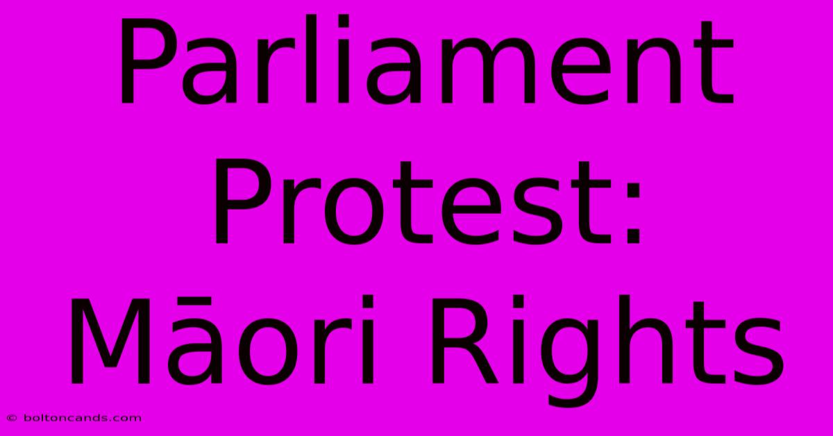 Parliament Protest: Māori Rights