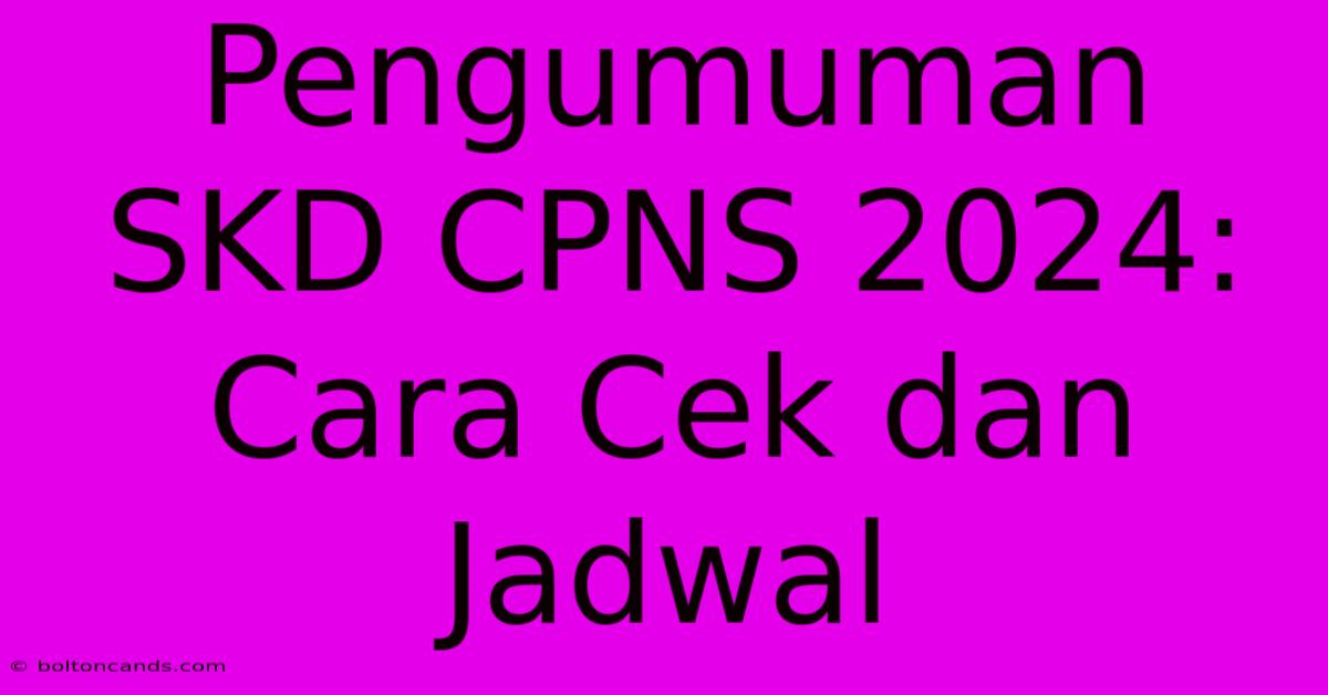 Pengumuman SKD CPNS 2024: Cara Cek Dan Jadwal