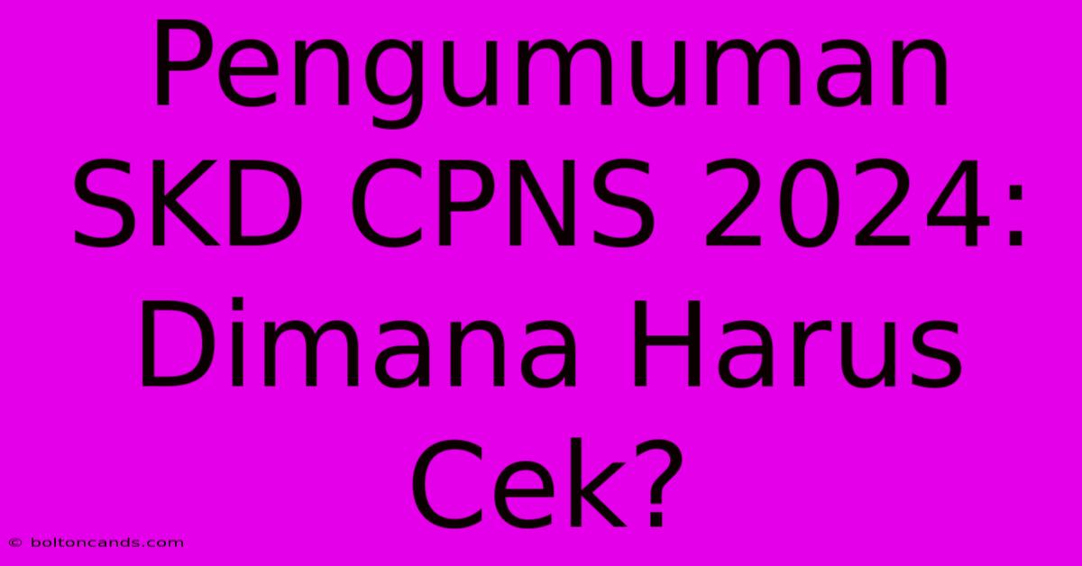 Pengumuman SKD CPNS 2024: Dimana Harus Cek?