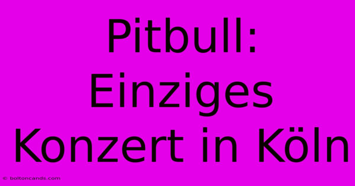 Pitbull: Einziges Konzert In Köln