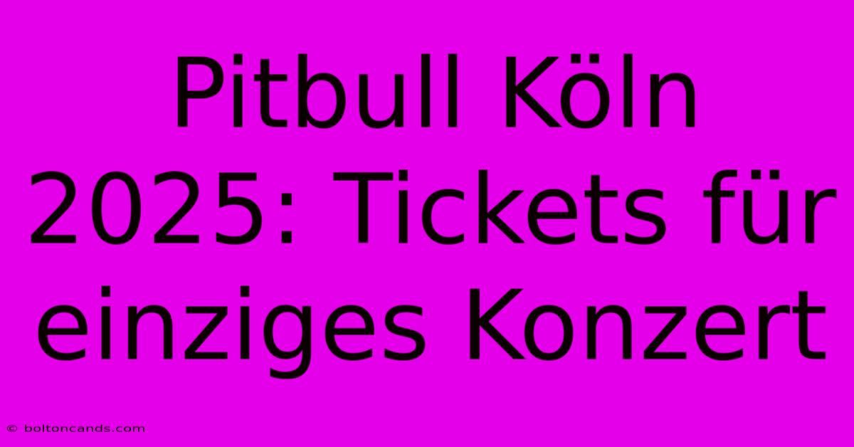 Pitbull Köln 2025: Tickets Für Einziges Konzert