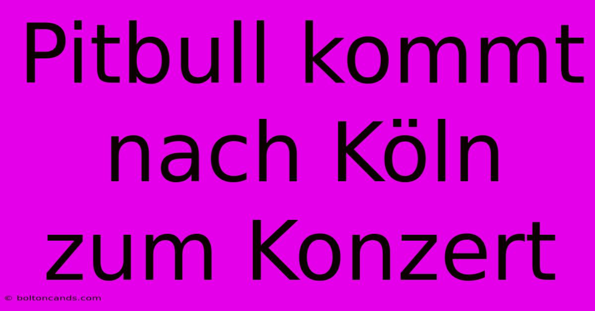 Pitbull Kommt Nach Köln Zum Konzert