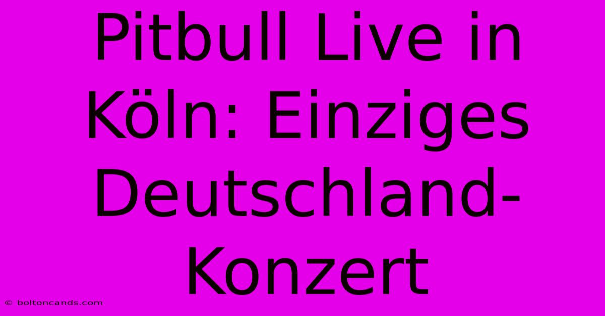 Pitbull Live In Köln: Einziges Deutschland-Konzert