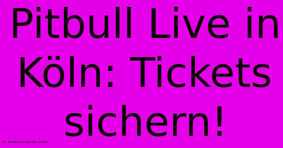 Pitbull Live In Köln: Tickets Sichern!