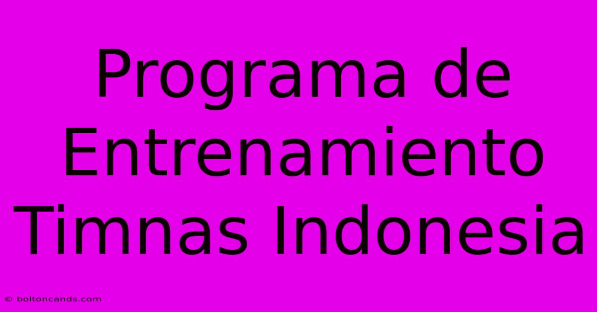 Programa De Entrenamiento Timnas Indonesia