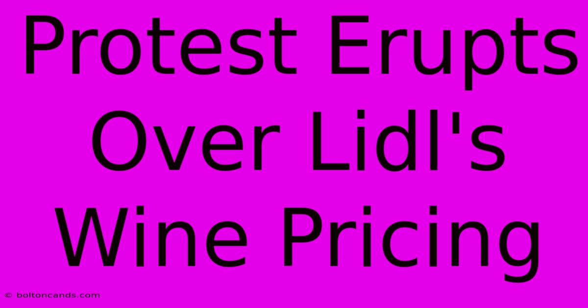 Protest Erupts Over Lidl's Wine Pricing