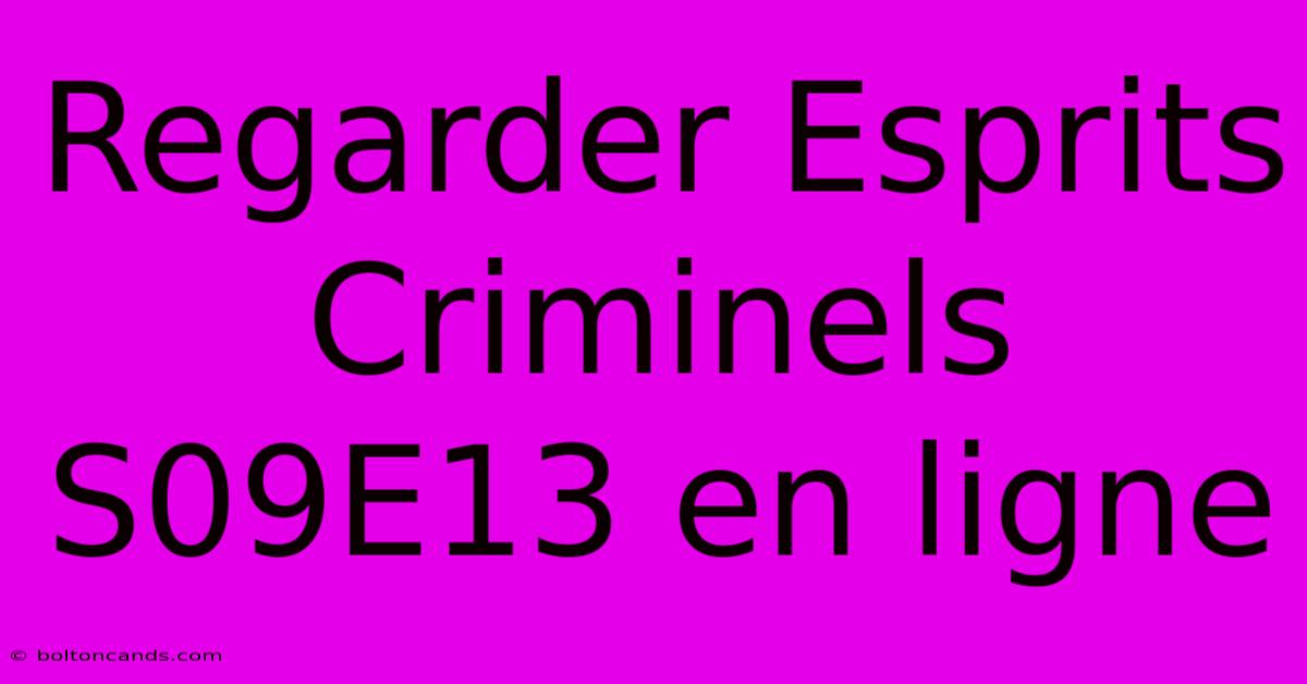 Regarder Esprits Criminels S09E13 En Ligne