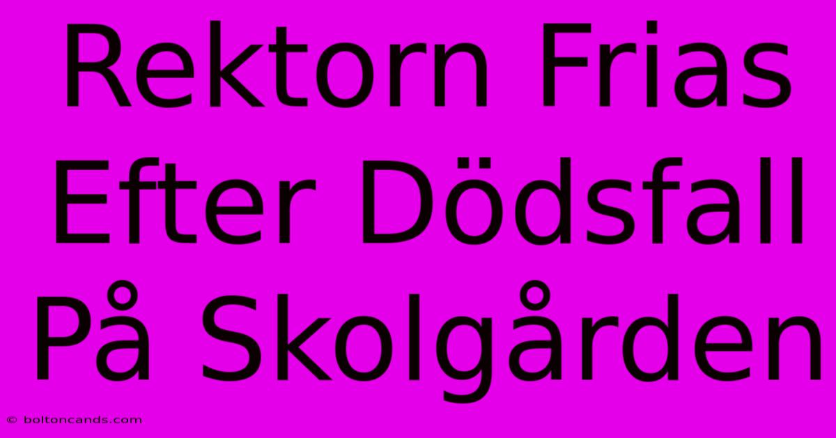 Rektorn Frias Efter Dödsfall På Skolgården