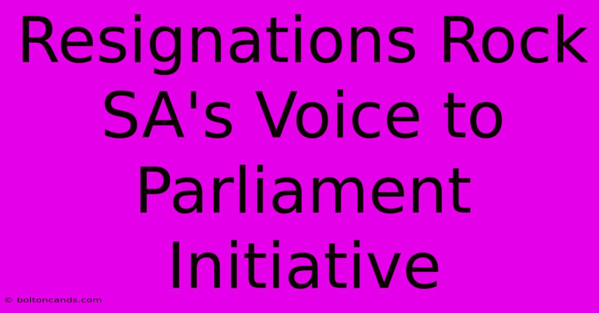 Resignations Rock SA's Voice To Parliament Initiative