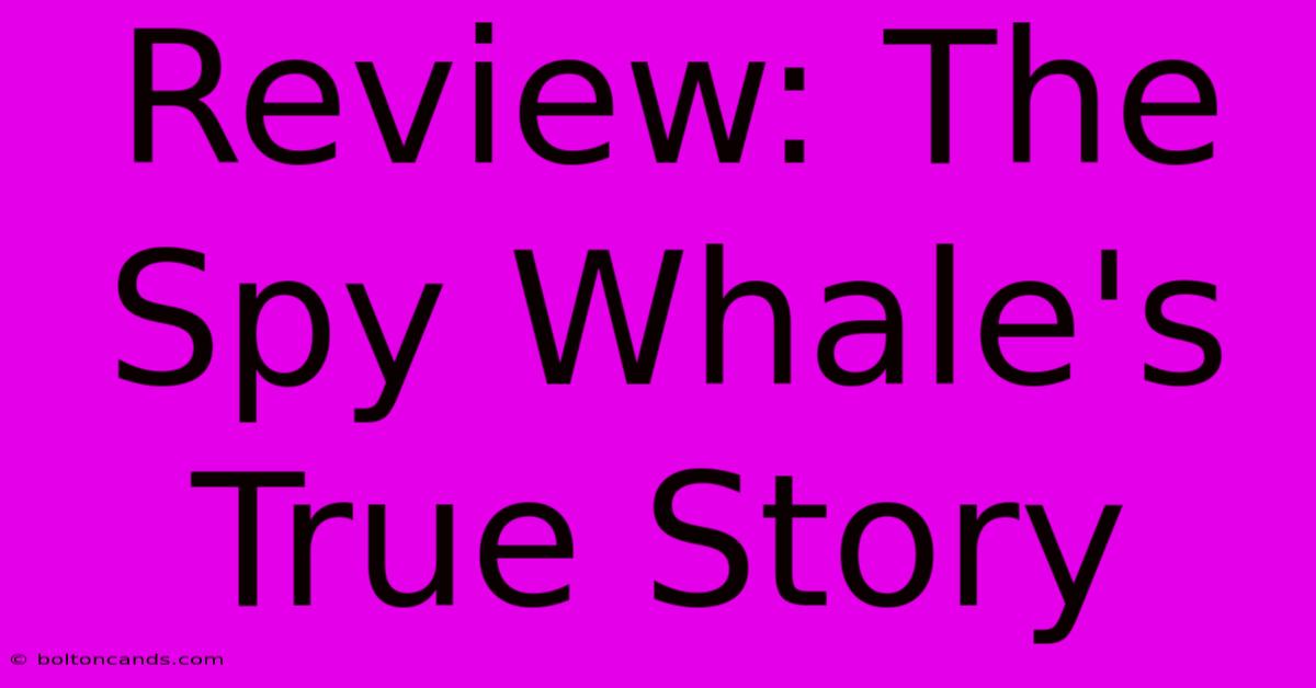 Review: The Spy Whale's True Story