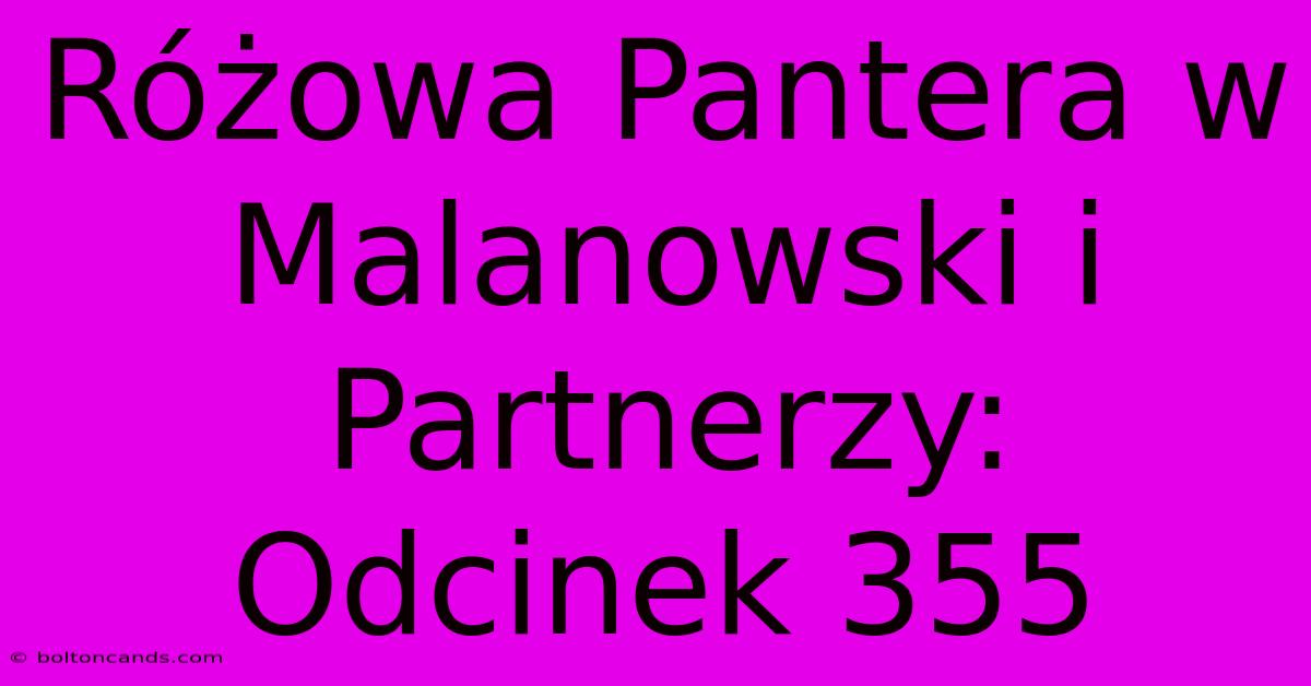 Różowa Pantera W Malanowski I Partnerzy: Odcinek 355 