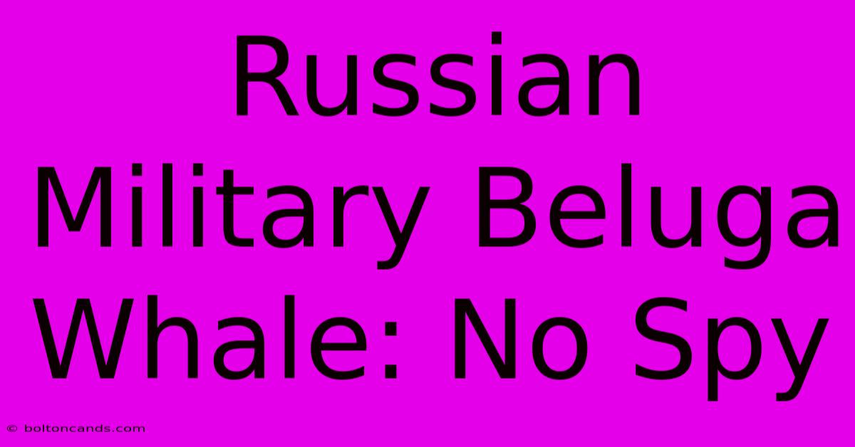 Russian Military Beluga Whale: No Spy