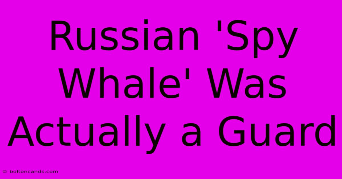 Russian 'Spy Whale' Was Actually A Guard