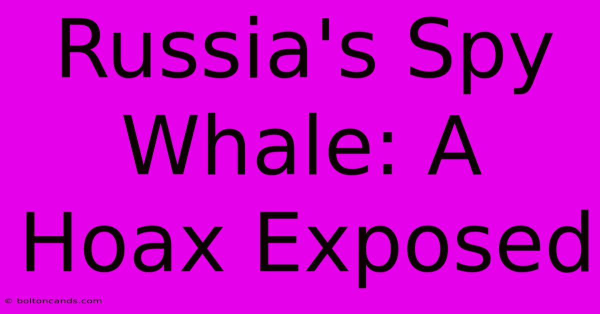 Russia's Spy Whale: A Hoax Exposed