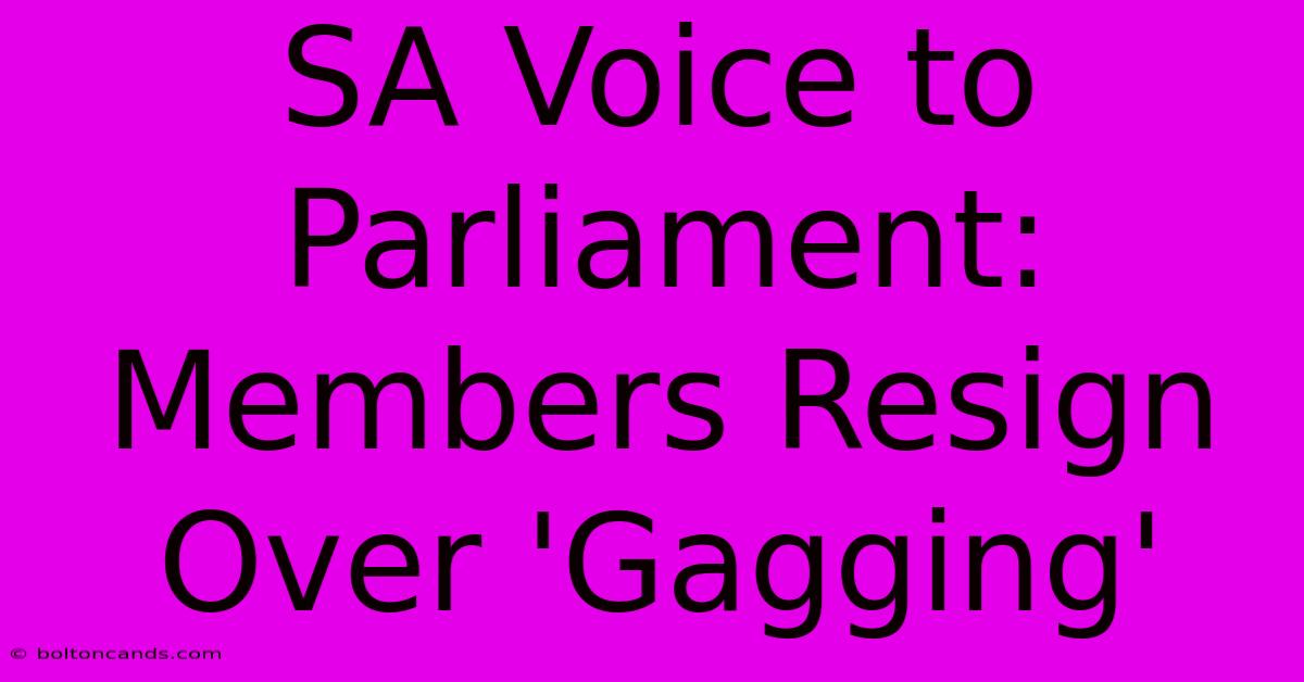 SA Voice To Parliament: Members Resign Over 'Gagging'