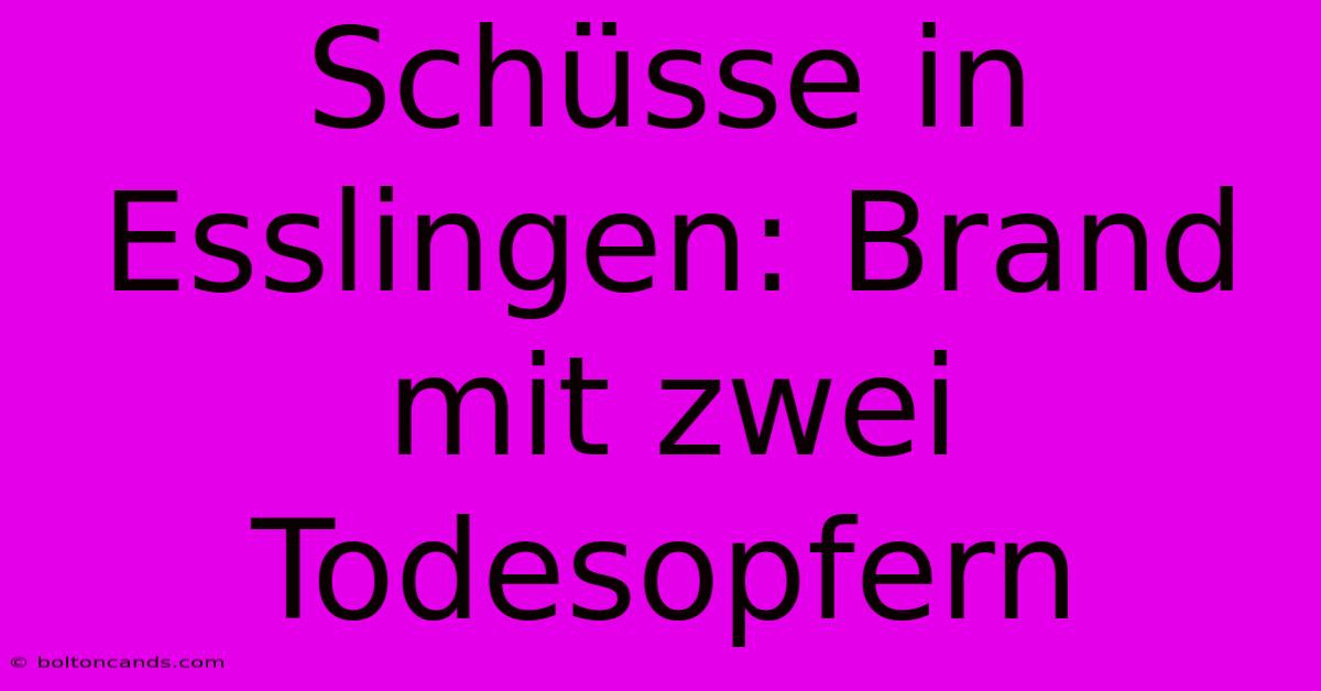 Schüsse In Esslingen: Brand Mit Zwei Todesopfern