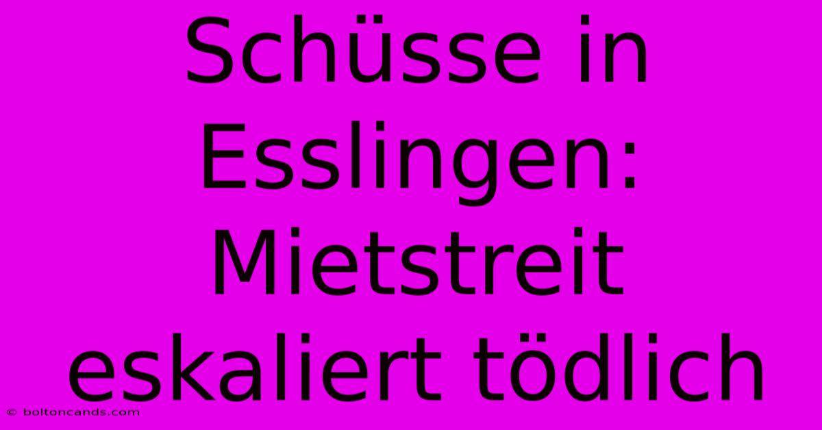 Schüsse In Esslingen: Mietstreit Eskaliert Tödlich