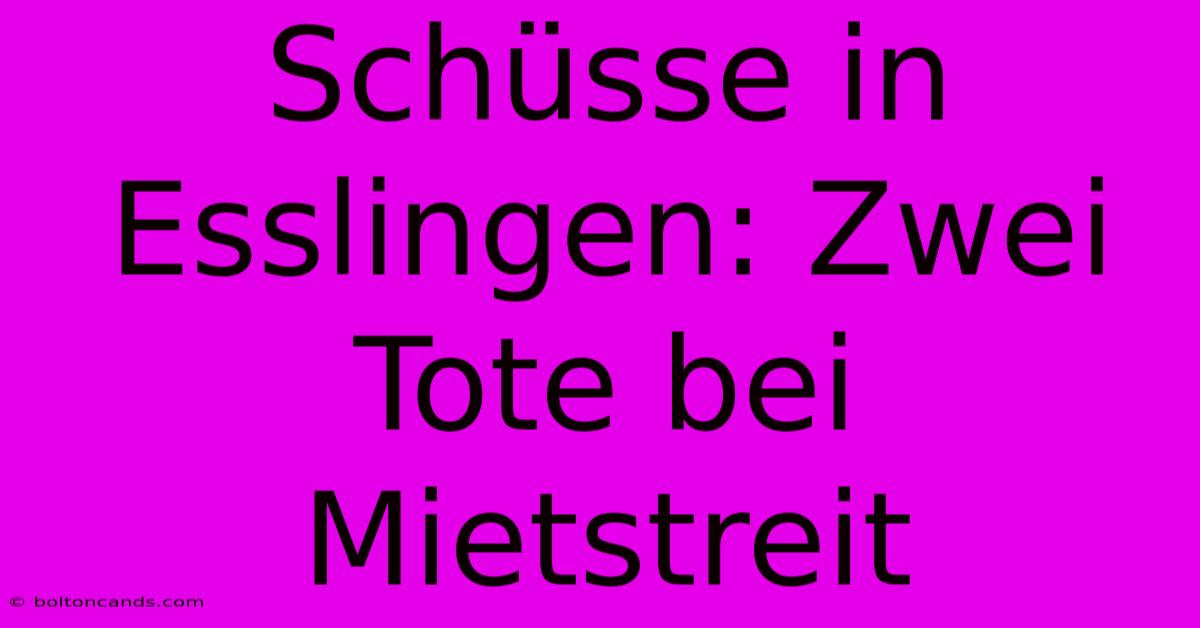 Schüsse In Esslingen: Zwei Tote Bei Mietstreit 