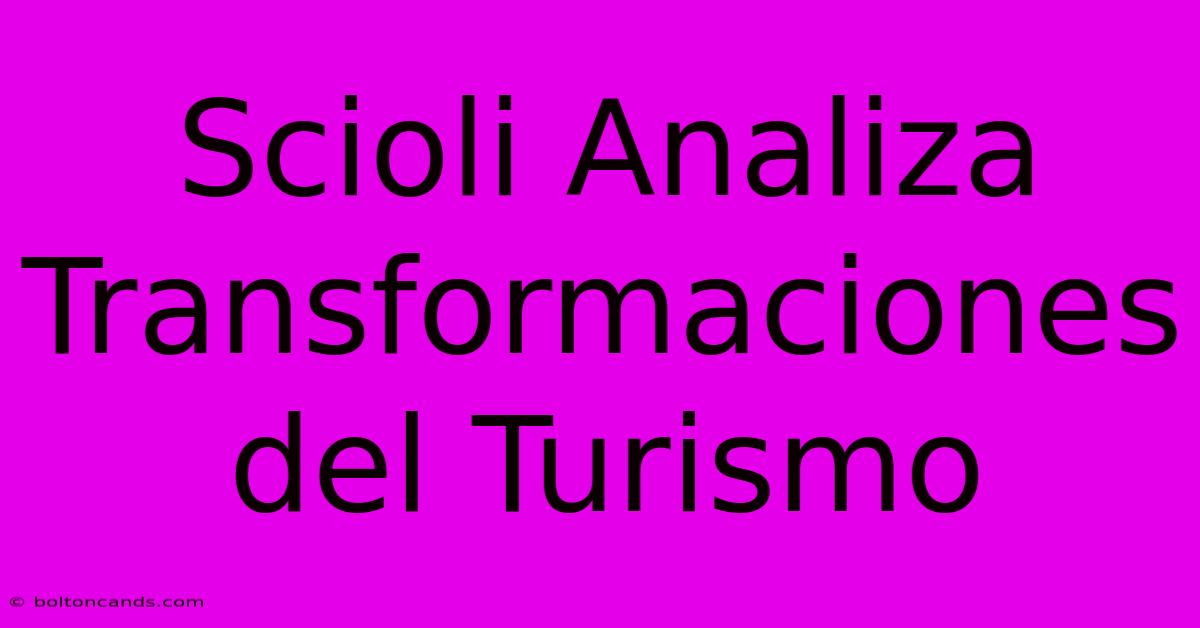 Scioli Analiza Transformaciones Del Turismo