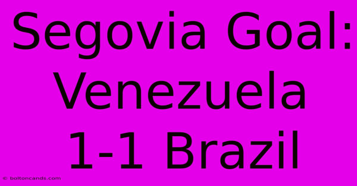 Segovia Goal: Venezuela 1-1 Brazil