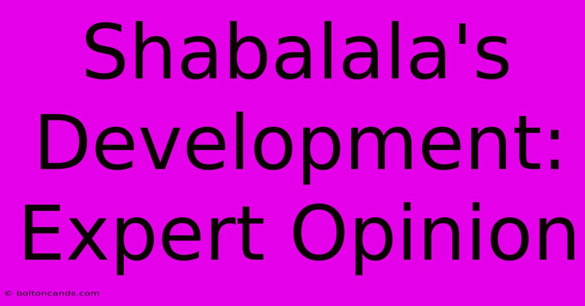 Shabalala's Development: Expert Opinion