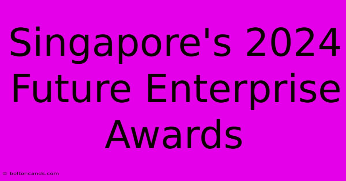 Singapore's 2024 Future Enterprise Awards