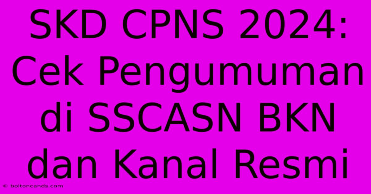 SKD CPNS 2024: Cek Pengumuman Di SSCASN BKN Dan Kanal Resmi