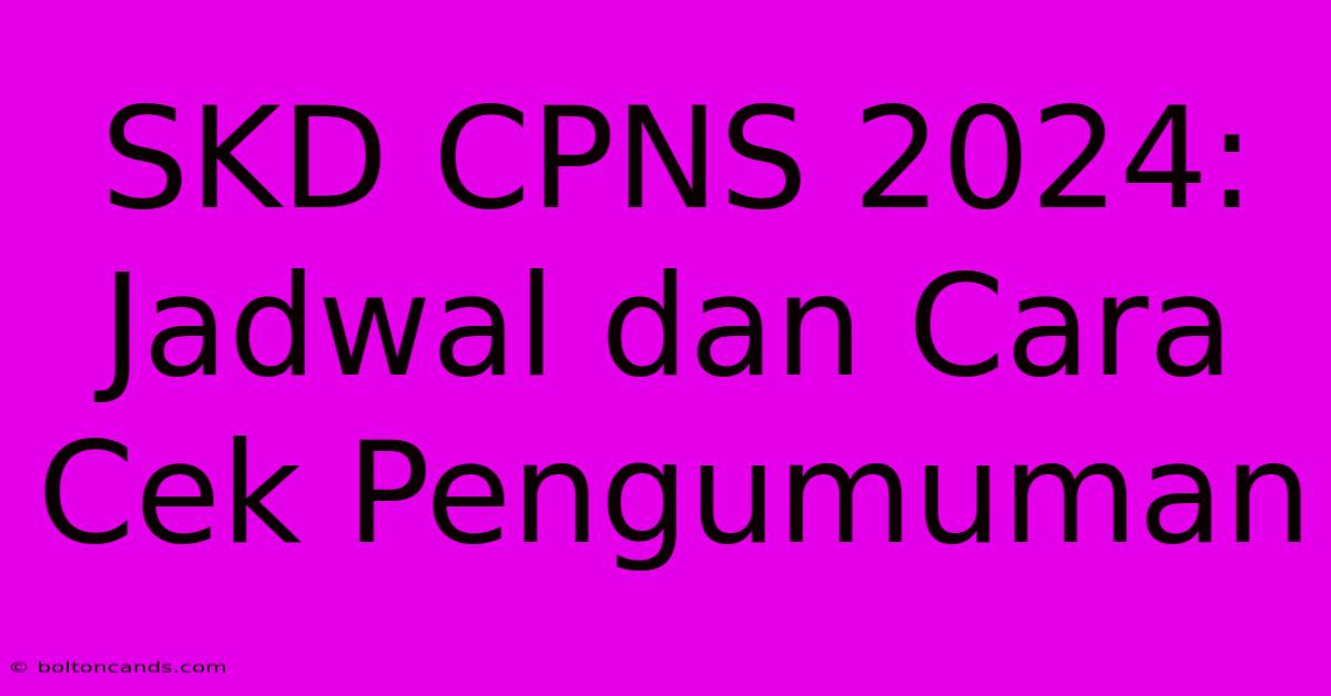 SKD CPNS 2024: Jadwal Dan Cara Cek Pengumuman 