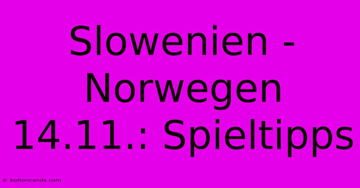 Slowenien - Norwegen 14.11.: Spieltipps