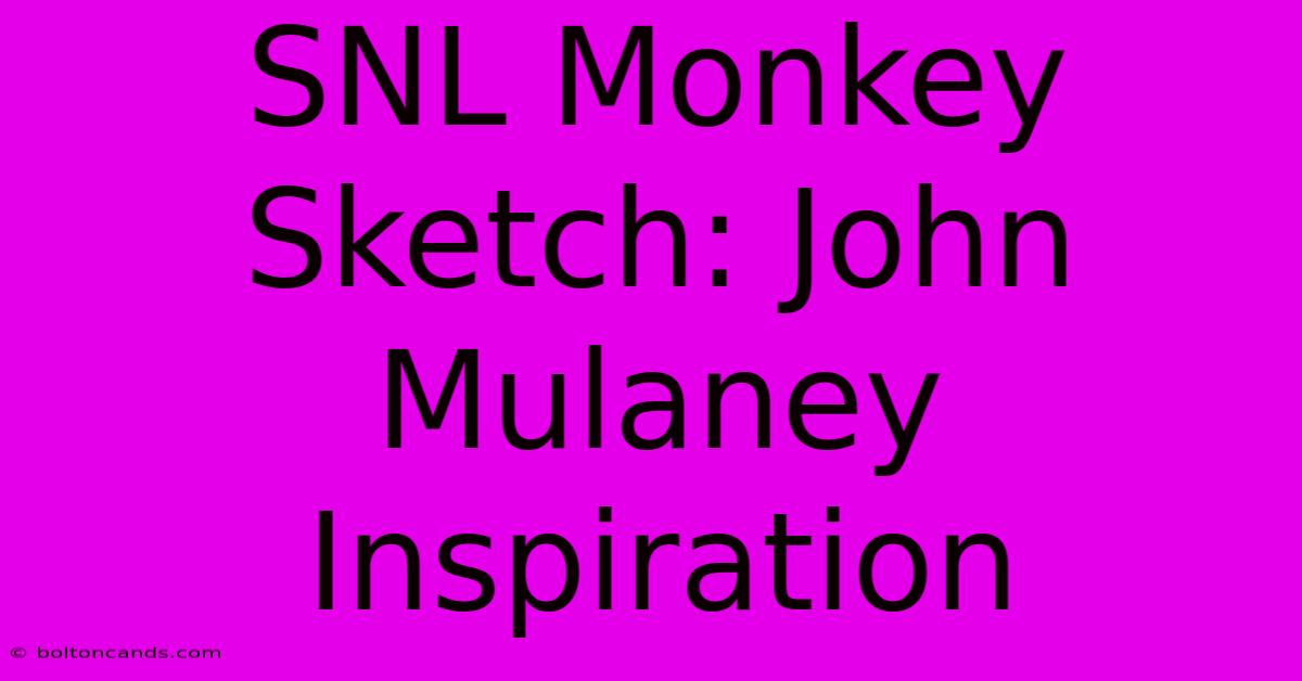 SNL Monkey Sketch: John Mulaney Inspiration