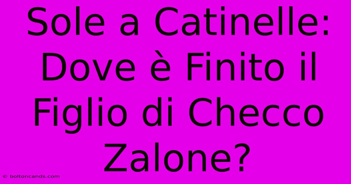 Sole A Catinelle: Dove È Finito Il Figlio Di Checco Zalone?