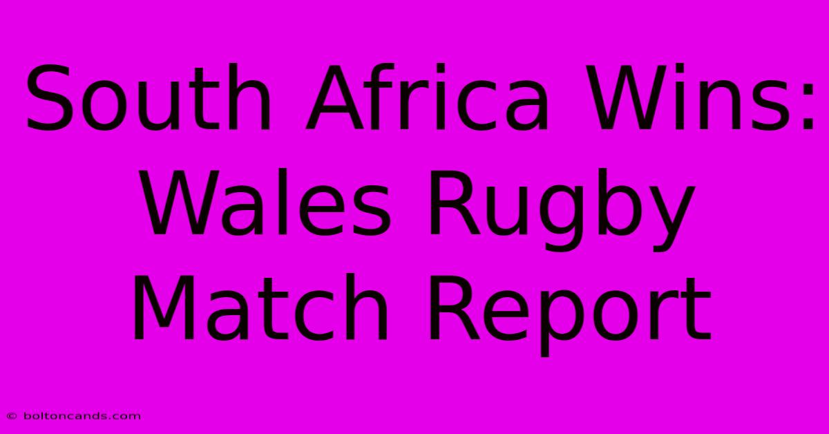 South Africa Wins: Wales Rugby Match Report