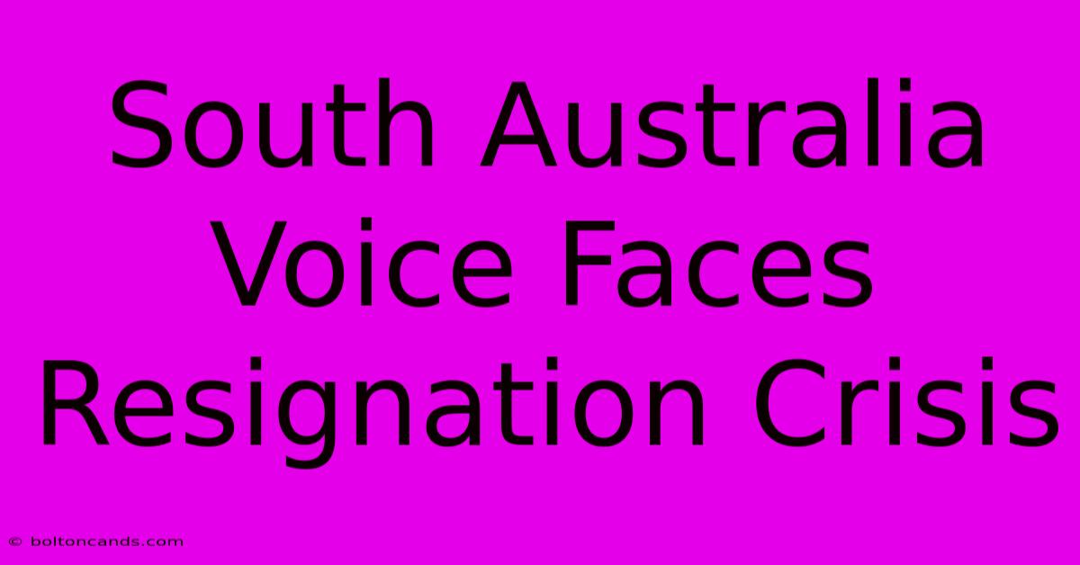 South Australia Voice Faces Resignation Crisis