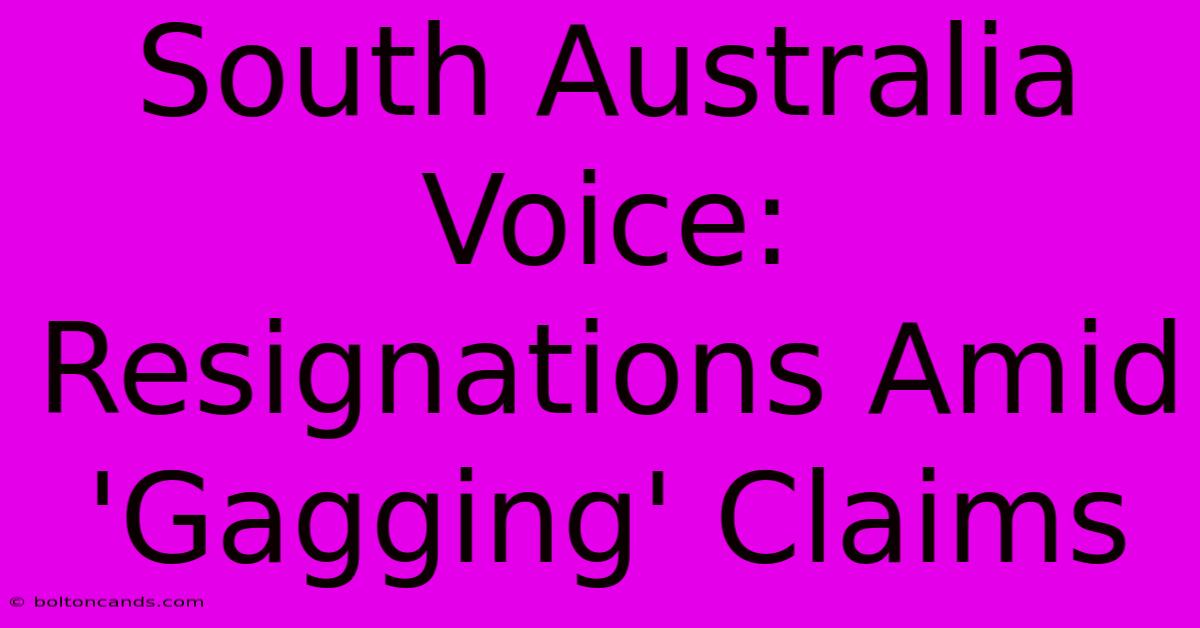 South Australia Voice: Resignations Amid 'Gagging' Claims