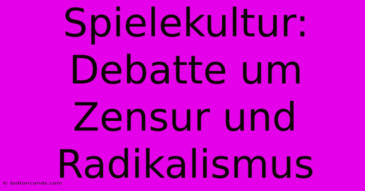 Spielekultur: Debatte Um  Zensur Und  Radikalismus