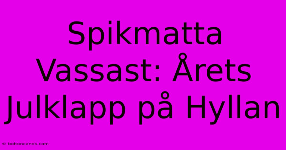 Spikmatta Vassast: Årets Julklapp På Hyllan