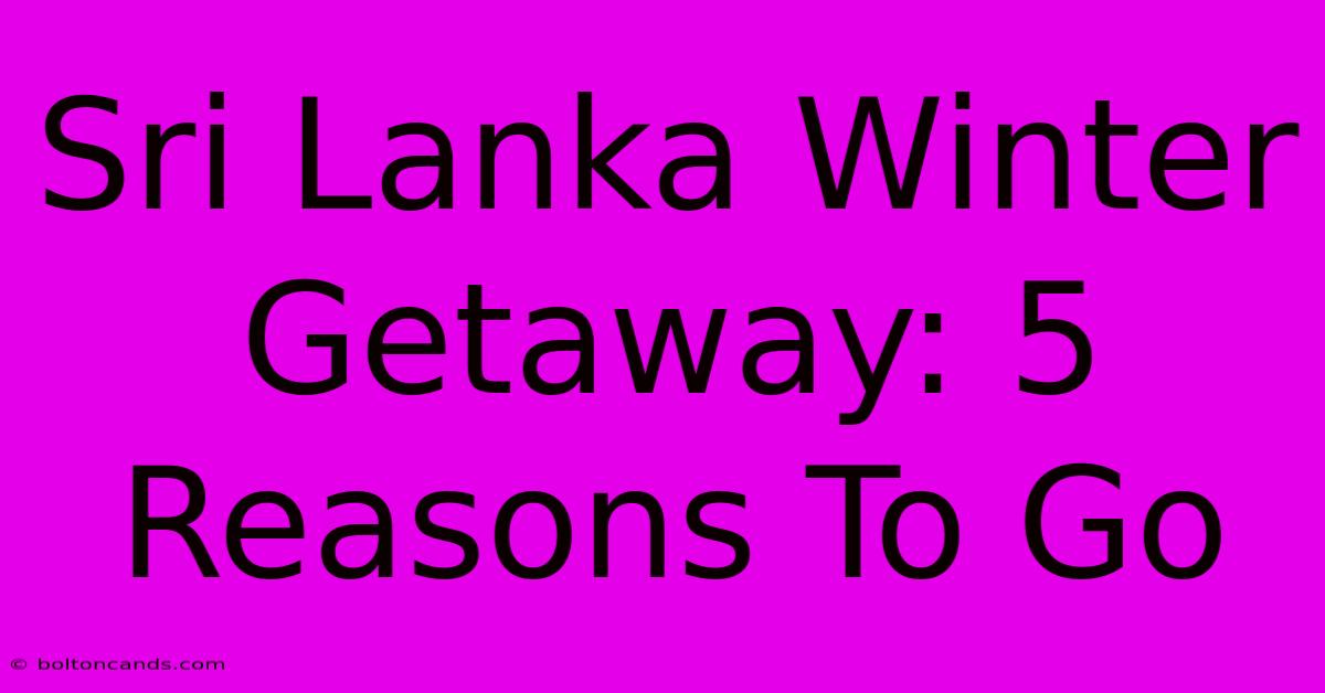 Sri Lanka Winter Getaway: 5 Reasons To Go