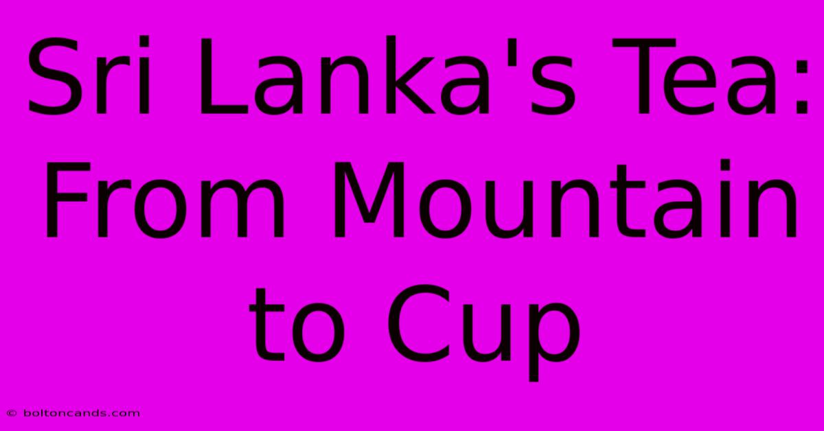 Sri Lanka's Tea: From Mountain To Cup