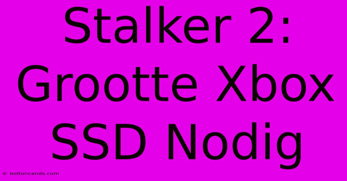 Stalker 2: Grootte Xbox SSD Nodig