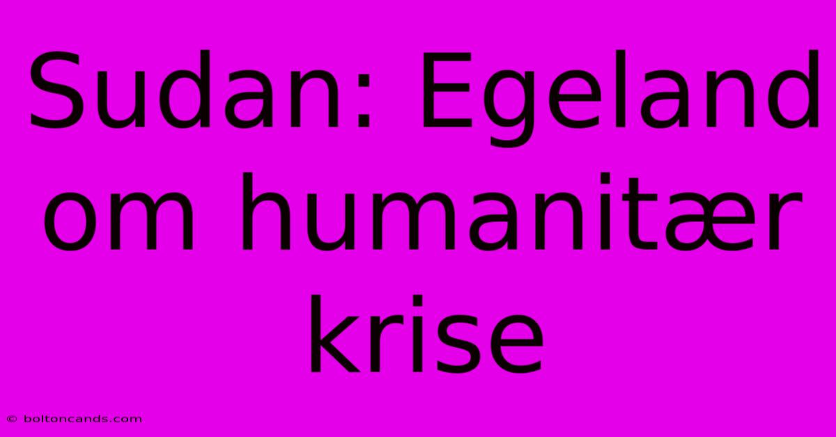 Sudan: Egeland Om Humanitær Krise