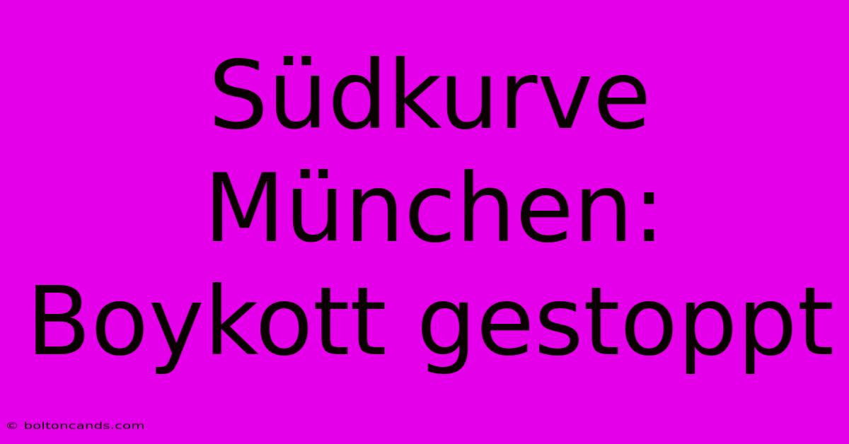 Südkurve München: Boykott Gestoppt