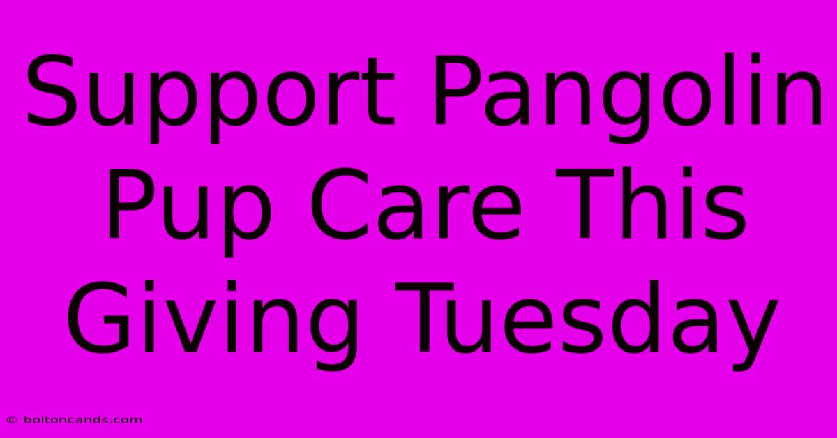 Support Pangolin Pup Care This Giving Tuesday