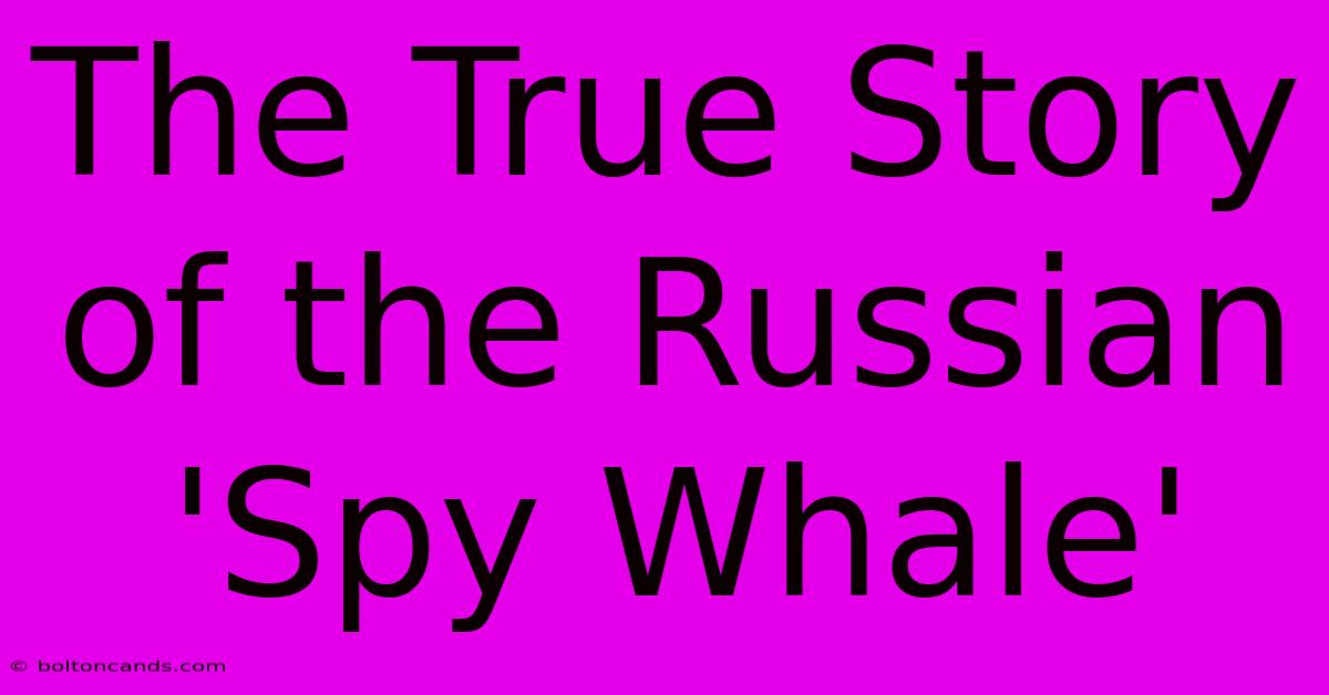 The True Story Of The Russian 'Spy Whale'